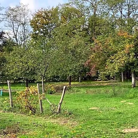 Ferme Des Trois Poiriers, B&B Teloché